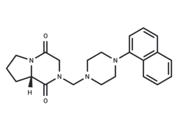 CSP-2503
