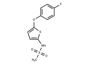 RWJ 63556