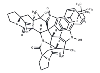 Stephacidin B