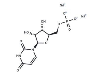 Uridine 5'-monophosphate disodium salt