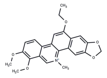 6-Ethoxychelerythrine