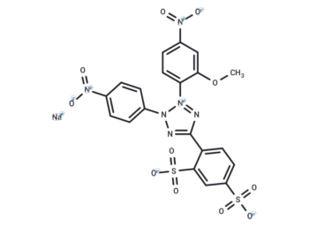 WST-8