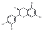 (±)-Catechin