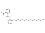 CX08005