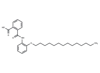 CX08005