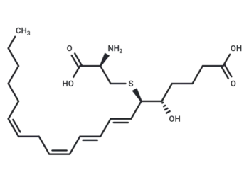 Leukotriene E4