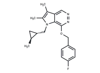 CS-526