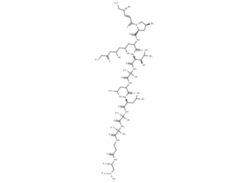 CC 1014
