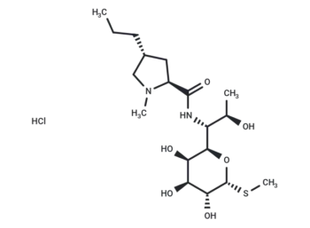 Lincomycin hydrochloride
