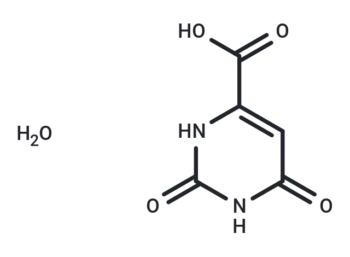 Orotic acid monohydrate