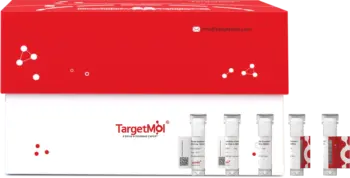 Protease Inhibitor Cocktail (EDTA-Free, 100× in DMSO)