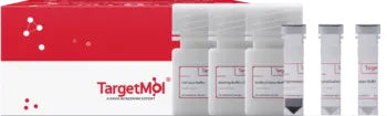 HA Tag Immunoprecipitation Kit