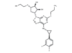 Ticagrelor