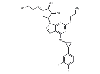Ticagrelor