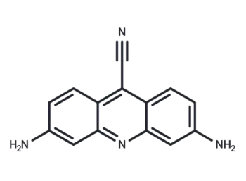 CTX1