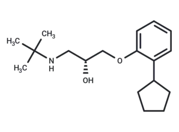 (+)-Penbutolol