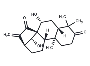 Glaucocalyxin A
