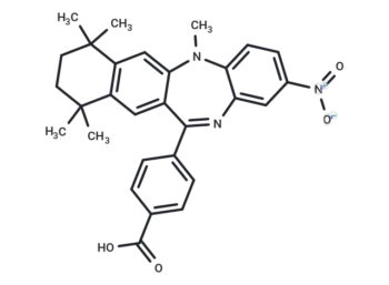 HX 531