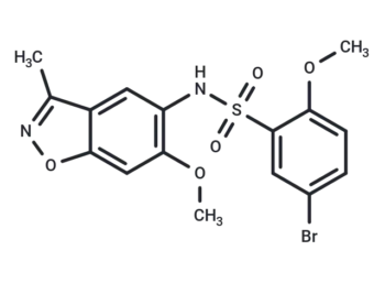 Y06036