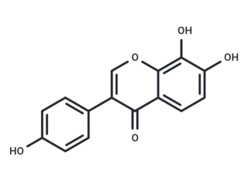 YN1