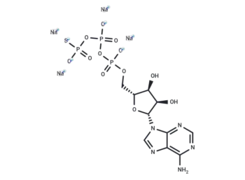 ATP-γ-S tetrasodium