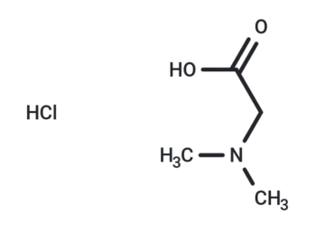 N,N-Dimethylglycine hydrochloride