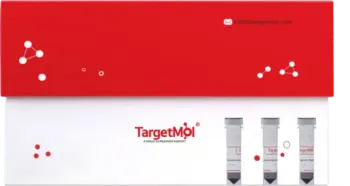 Flag Tag Nanobody Immunomagnetic Beads