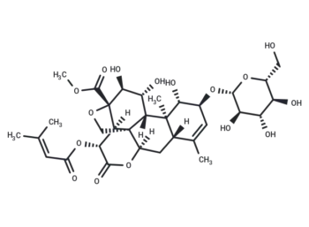 Yadanzioside E
