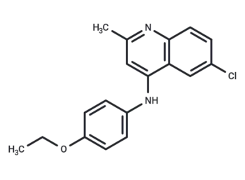 CSV0C018875