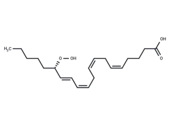 15(S)-HpETE
