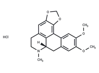 Dicentrine HCl