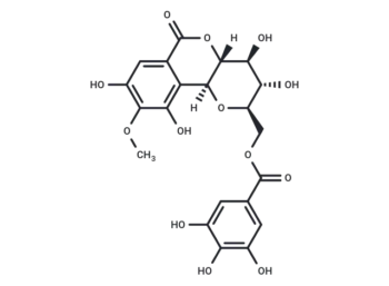 11-O-Galloylbergenin