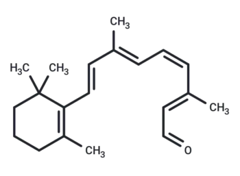 11-cis Retinal