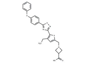 CS 2100