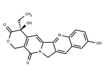 (S)-10-Hydroxycamptothecin