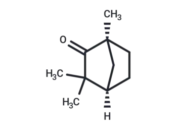 (+)-Fenchone