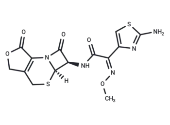 3-Desacetyl Cefotaxime lactone