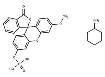 3-OMFP Cyclohexylammonium salt