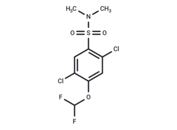 2,5-dichloro-4-(difluoromethoxy)-N,N-dimethylbenzene-1-sulfonamide