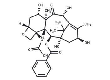 10-Deacetylbaccatin III