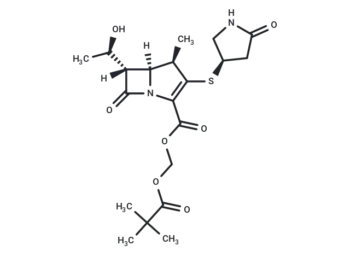 CS 834