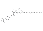 (S,R,S)-AHPC-PEG2-C4-Cl