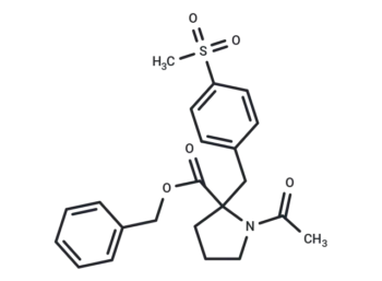 (+)-KCC2 blocker 1