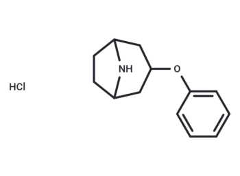 3-phenoxy-8-azabicyclo[3.2.1]octane HCl