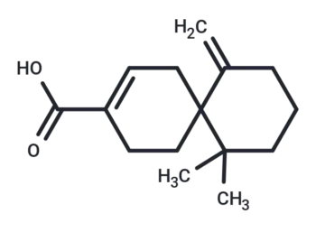 (Rac)-β-Chamigrenic acid
