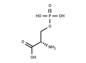 O-Phospho-L-serine