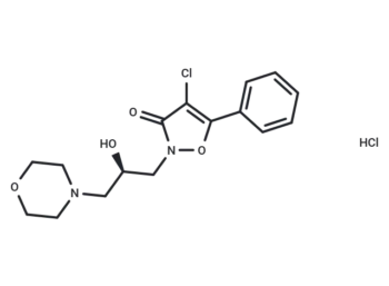 CS 722