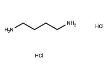 1,4-Diaminobutane Dihydrochloride