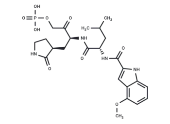 Lufotrelvir