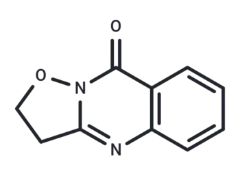 W-2429